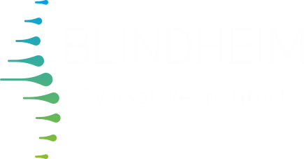 Blindheim Fysikalske Institutt